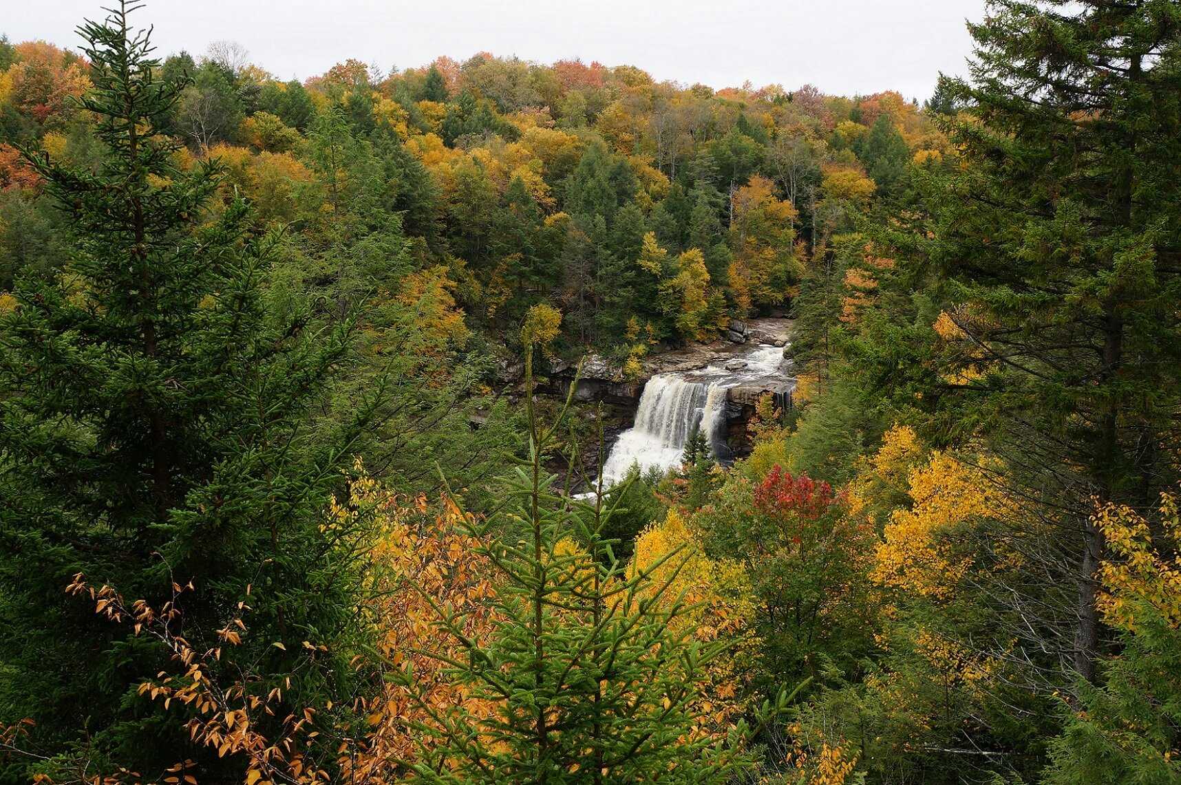 Autumn trees and waterfall in Canaan Valley.