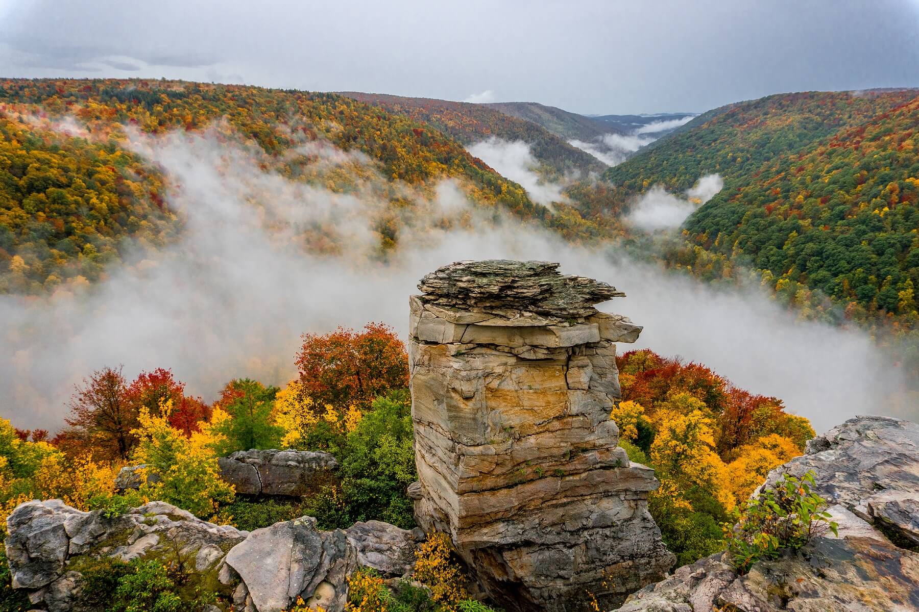 Property For Sale Canaan Valley Wv at Monique Kardos blog