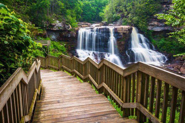 Explore the Fun Things To Do at Blackwater Falls State Park