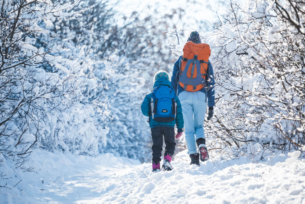 The Ultimate Guide to West Virginia Hiking in the Winter Best of
