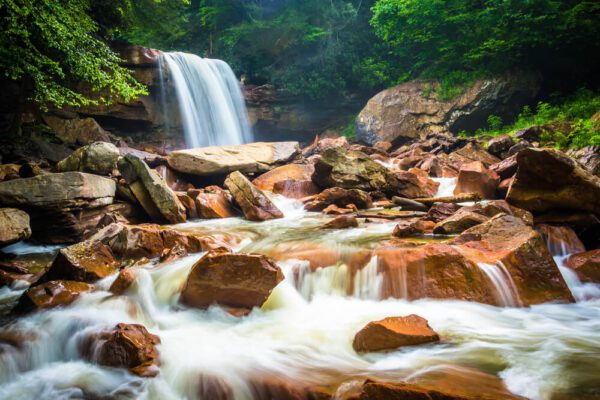 Your Guide to the Blackwater Canyon Trail