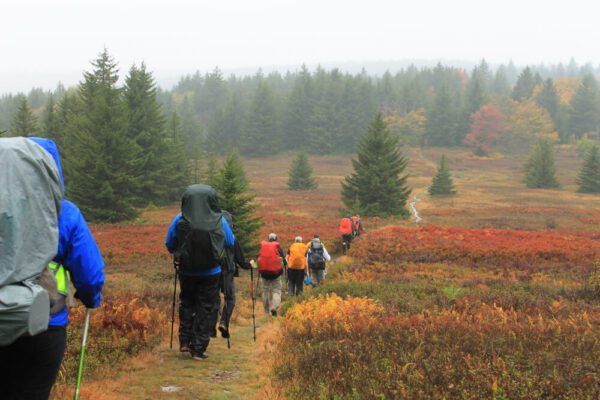 People Exploring Dolly Sods Wilderness
